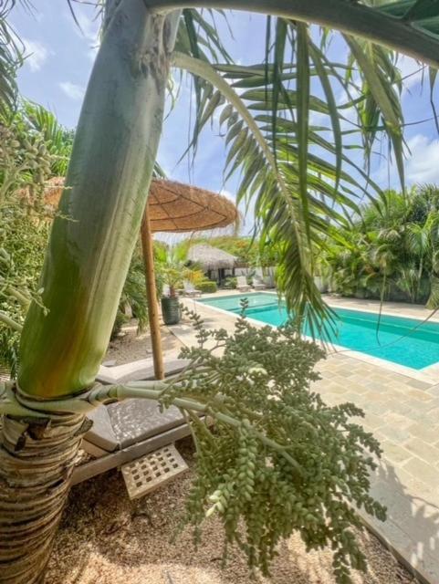 Belnem Puur Bonaire Boetiekhotel מראה חיצוני תמונה